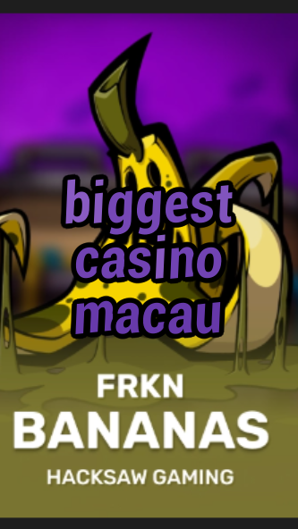 biggest casino macau-3xn3u5udepyz9m9w5iat.com
